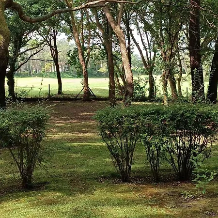 Quiet Renovated Nest With A View Of The Golf