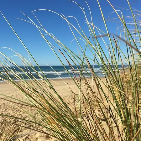 Quiet Renovated Nest With A View Of The Golf Lejlighed