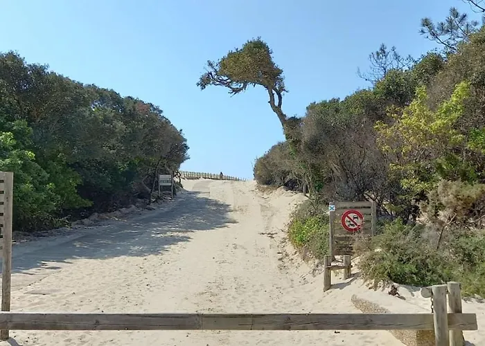 Lejlighed Quiet Renovated Nest With A View Of The Golf *